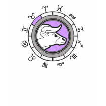 TAURUS Zodiac Astrology Sign t-shirts
