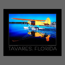 Tavares Florida Fine Art Seaplane Poster posters