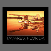 Tavares Florida Fine Art Seaplane Poster posters