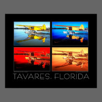 Tavares Florida Fine Art Seaplane Poster posters