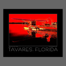 Tavares Florida Fine Art Seaplane Poster posters