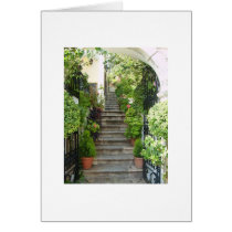Taverna steps cards