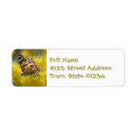 Tawny Emperer Butterfly  Mailing Label