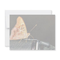 Tawny emperor personalized announcement