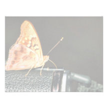 Tawny emperor personalized announcement