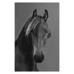 Tawny horse customized stationery