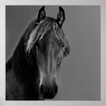 Tawny horse print