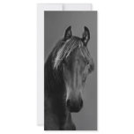 Tawny horse rack cards