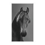 Tawny horse stretched canvas prints