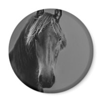 Tawny magnets by laureenr Tawny magnets