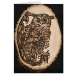 Tawny Owl