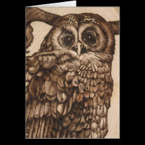 Tawny Owl cards