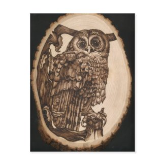 Tawny Owl postcard