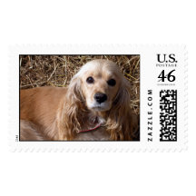 Tawny Postage Stamps