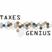 Taxes Genius photo sculptures by itsallhot Taxes Genius photo sculptures