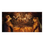 Taxidermy - Home of the three bears Photo Cards