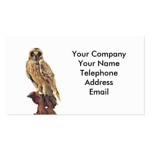 Taxidermy of an Owl Business Card Templates (front side)