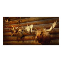 Taxidermy - The hunting lodge  Photo Cards