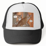 Taylor and Fife hats
