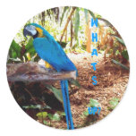 Taylor Blue Sticker Taylor Blue Sticker