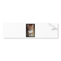 Taylor Bumper Sticker