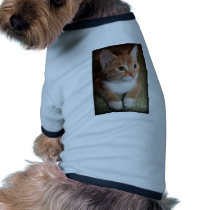 Taylor Dog Tee Shirt