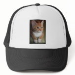 Taylor hats