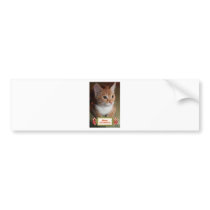 Taylor  Merry Christmas Bumper Sticker