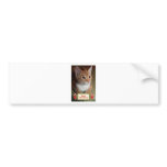 Taylor  Merry Christmas Bumper Sticker
