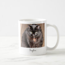 Taylor mugs by tiggerwiggins Taylor mugs