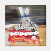 TAYLOR & Train Refrigerator Magnet
