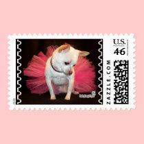 Taylor Tutu Stamp by Babydogstyle Taylor Tutu Stamp