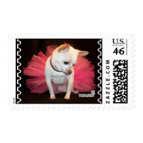 Taylor Tutu Stamp