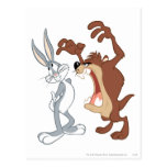 Taz and Bugs Bunny Not Even Flinching - Color Post Cards