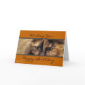 Taz HappyBirthday-customize cards