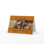 Taz HappyBirthday-customize cards