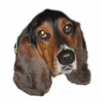 Taz Ornament photo sculptures