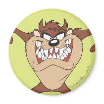 Taz posing 15 fridge magnets