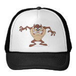 Taz posing 15 mesh hat