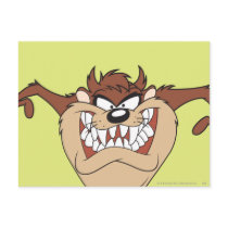 Taz posing 15 postcard