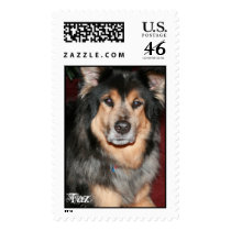 Taz Postage
