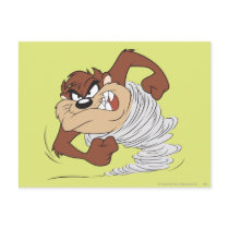 Taz spinning fast post cards