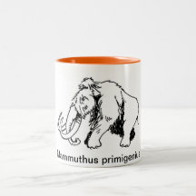 Taza del mamut lanoso (nombre científico)