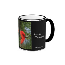 Taza del Tanager de escarlata