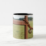 Taza oxidada de la puerta bloqueada tazas