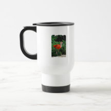 Taza plástica del viaje de Ibis del escarlata