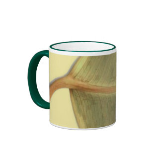 Taza verde de la licencia