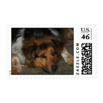 Tazzee Mae postage by wolfmountainstudio Tazzee Mae postage