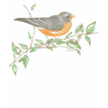 TBA Award Robin Women's T-Shirt