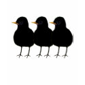 TBA AWARD WINNER 3 Black Robins t-shirts by samack TBA AWARD WINNER 3 Black Robins t-shirts